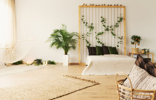 Blog Simple Steps To Make Your Home More Eco Friendly